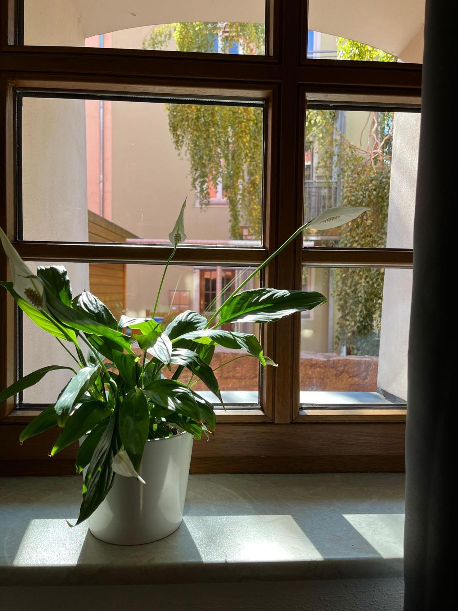 Appartement 5 Predigergasse Bautzen Extérieur photo